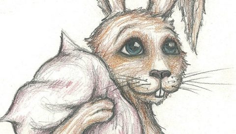 Rabbit