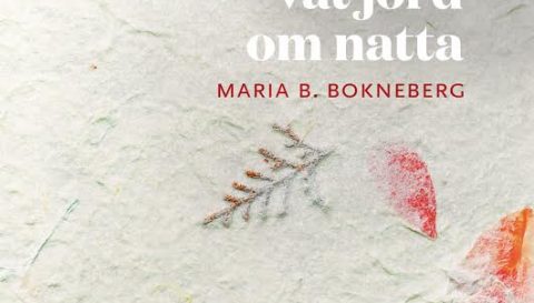 bokneberg-cover