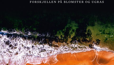 Forskjellen-p-blomster-og-ugras_Fotokreditering-Gyldendal (1)