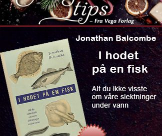 Juleannonse2017_firkant_fisk