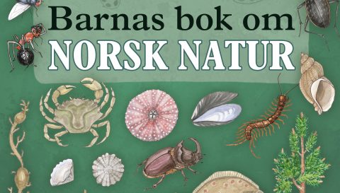 Barnas bok om norsk natur