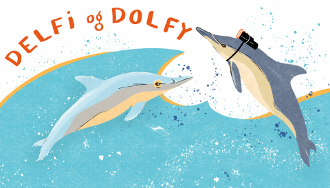 Delfi og Dolfy