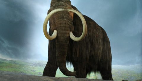 Mammut-foto-Royal-British-Columbia-Museum-scaled