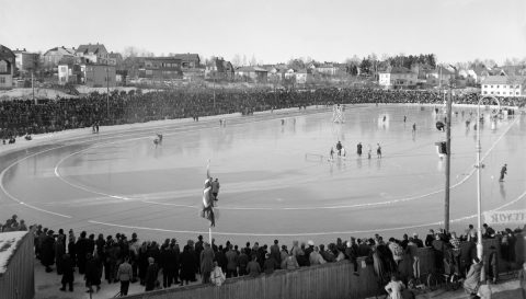 Hamar stadion