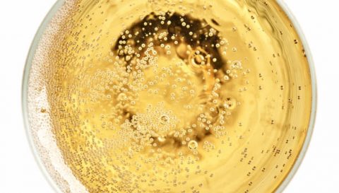 glass of champagne isolated on white background, top view
