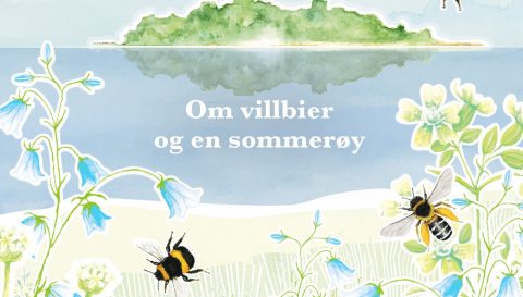 bienes-verden-coverimage-9788248939467-org